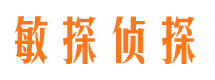 镇平市侦探调查公司